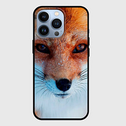 Чехол для iPhone 13 Pro Мордочка лисы, цвет: 3D-черный