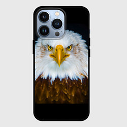 Чехол для iPhone 13 Pro Белоголовый орлан, цвет: 3D-черный