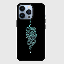 Чехол для iPhone 13 Pro Вьющаяся змея, цвет: 3D-черный