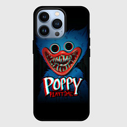 Чехол для iPhone 13 Pro Poppy Playtime, цвет: 3D-черный