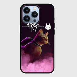 Чехол для iPhone 13 Pro Stray, цвет: 3D-черный