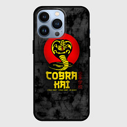 Чехол для iPhone 13 Pro Кобра Кай Змея Иероглифы Сериал, цвет: 3D-черный