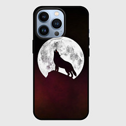 Чехол для iPhone 13 Pro Волк и луна Wolf and moon, цвет: 3D-черный