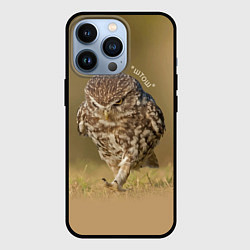 Чехол для iPhone 13 Pro Штош - мем - совёнок, цвет: 3D-черный