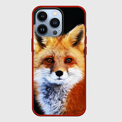 Чехол для iPhone 13 Pro Лиса рыжулька, цвет: 3D-красный