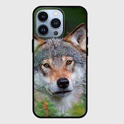 Чехол для iPhone 13 Pro Волк на фоне зелени, цвет: 3D-черный