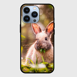 Чехол для iPhone 13 Pro Милый кролик, цвет: 3D-черный