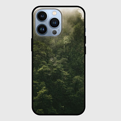 Чехол для iPhone 13 Pro Листья и дождик, цвет: 3D-черный