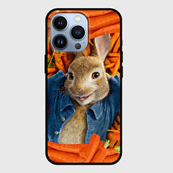 Чехол для iPhone 13 Pro Кролик Питер, цвет: 3D-черный