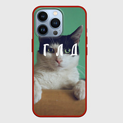 Чехол для iPhone 13 Pro Мем с котом - голод, цвет: 3D-красный