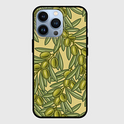 Чехол iPhone 13 Pro Винтажные ветви оливок