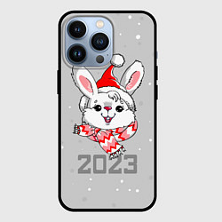 Чехол для iPhone 13 Pro Белый кролик в шарфе 2023, цвет: 3D-черный