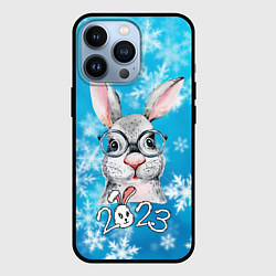 Чехол для iPhone 13 Pro Кролик в очках 2023, цвет: 3D-черный