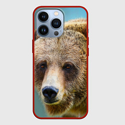 Чехол для iPhone 13 Pro Русский бурый медведь, цвет: 3D-красный