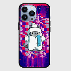 Чехол для iPhone 13 Pro Кот потерял своего друга - кролика, цвет: 3D-черный