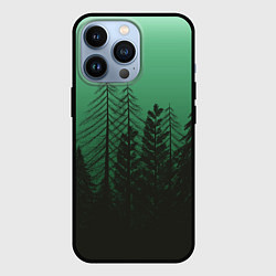Чехол для iPhone 13 Pro Зелёный туманный лес, цвет: 3D-черный