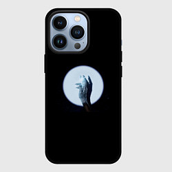 Чехол для iPhone 13 Pro The Limba - Celine, цвет: 3D-черный