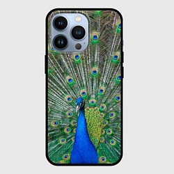 Чехол для iPhone 13 Pro Величественный павлин, цвет: 3D-черный