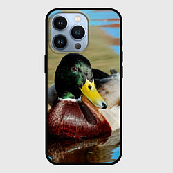 Чехол iPhone 13 Pro Утка Кряква - селезень