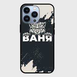 Чехол для iPhone 13 Pro Ваня зубастый волк, цвет: 3D-черный