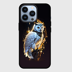 Чехол для iPhone 13 Pro Снежная сова, цвет: 3D-черный