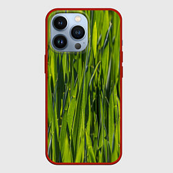 Чехол для iPhone 13 Pro Ландшафт зелень, цвет: 3D-красный