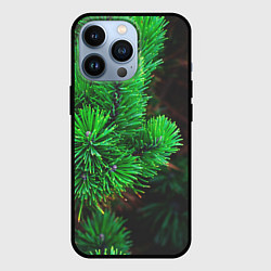Чехол для iPhone 13 Pro Зелёный лес России, цвет: 3D-черный
