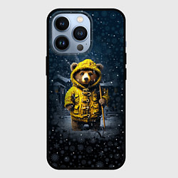 Чехол для iPhone 13 Pro Медведь зимой, цвет: 3D-черный