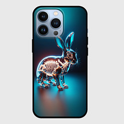 Чехол iPhone 13 Pro Прозрачный стеклянный кролик