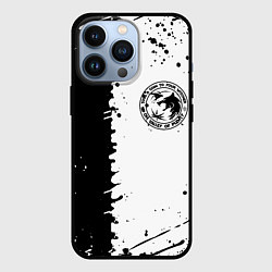 Чехол для iPhone 13 Pro The witcher краски текстура, цвет: 3D-черный