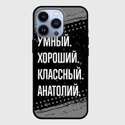 Чехол для iPhone 13 Pro Умный хороший классный: Анатолий, цвет: 3D-черный