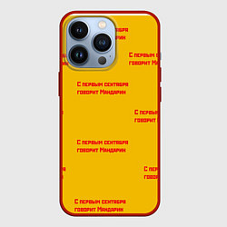 Чехол для iPhone 13 Pro С первым сентября говорит Мандарин, цвет: 3D-красный