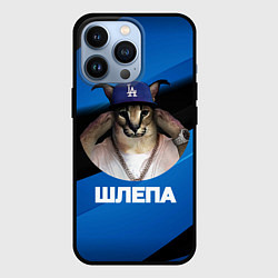 Чехол для iPhone 13 Pro Шлепа в бейсболке, цвет: 3D-черный