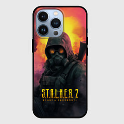 Чехол для iPhone 13 Pro Stalker 2 радиоактивный дым, цвет: 3D-черный
