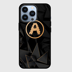 Чехол для iPhone 13 Pro Aerosmith golden poly, цвет: 3D-черный