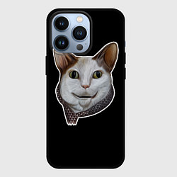 Чехол для iPhone 13 Pro Кот - Бу испугался мем, цвет: 3D-черный