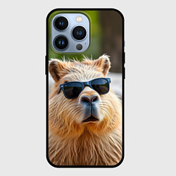 Чехол для iPhone 13 Pro Модная капибара в темных очках, цвет: 3D-черный