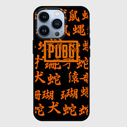 Чехол для iPhone 13 Pro PUBG japan steel, цвет: 3D-черный