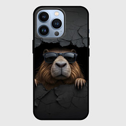 Чехол для iPhone 13 Pro Капибара в стене, цвет: 3D-черный