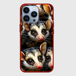 Чехол для iPhone 13 Pro Опоссумовые мордочки, цвет: 3D-красный