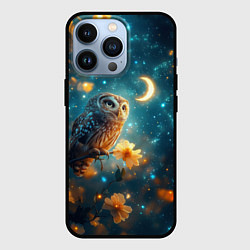 Чехол для iPhone 13 Pro Сова смотрит на месяц, цвет: 3D-черный