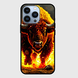 Чехол для iPhone 13 Pro Буйвол в огне, цвет: 3D-черный