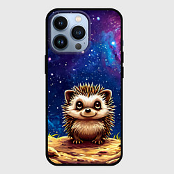 Чехол для iPhone 13 Pro Ежик и звездное небо, цвет: 3D-черный