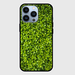 Чехол для iPhone 13 Pro Зеленая трава, цвет: 3D-черный