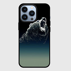 Чехол для iPhone 13 Pro Бурый в гневе - градиент, цвет: 3D-черный