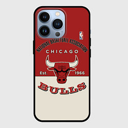 Чехол для iPhone 13 Pro NBA Bulls Vintage, цвет: 3D-черный