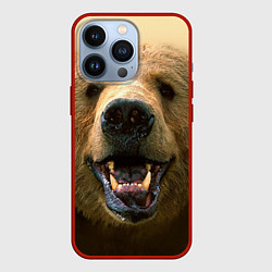Чехол для iPhone 13 Pro Взгляд медведя, цвет: 3D-красный