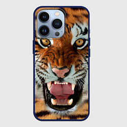 Чехол для iPhone 13 Pro Взгляд тигра, цвет: 3D-тёмно-синий