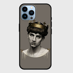Чехол для iPhone 14 Pro Max Король Тимоти, цвет: 3D-черный
