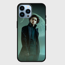 Чехол для iPhone 14 Pro Max Timothee Chalamet in the desert, цвет: 3D-черный